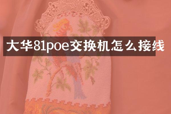 大华81poe交换机怎么接线