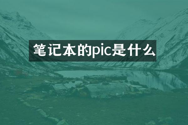笔记本的pic是什么