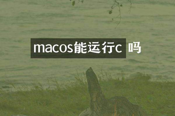 macos能运行c 吗