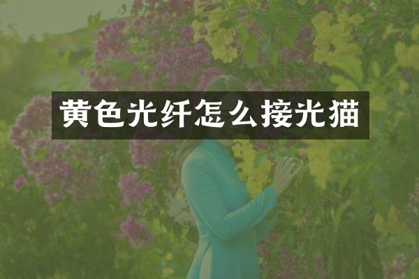 黄色光纤怎么接光猫