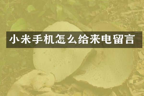 小米手机怎么给来电留言