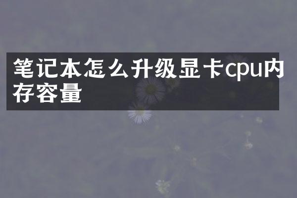 笔记本怎么升级显卡cpu内存容量