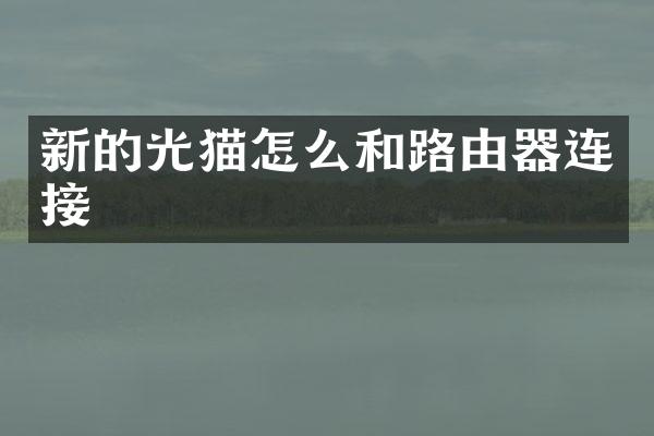新的光猫怎么和路由器连接