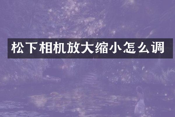 相机放大缩小怎么调