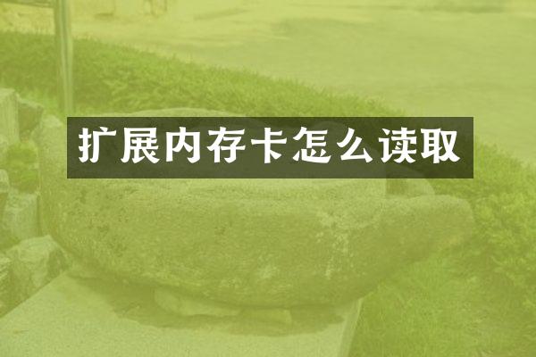 扩展内存卡怎么读取