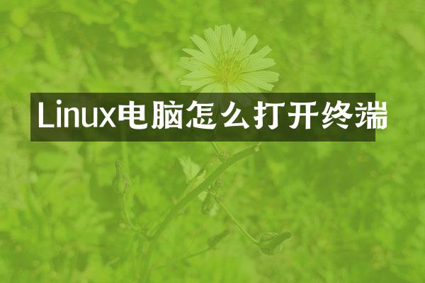 Linux电脑怎么打开终端
