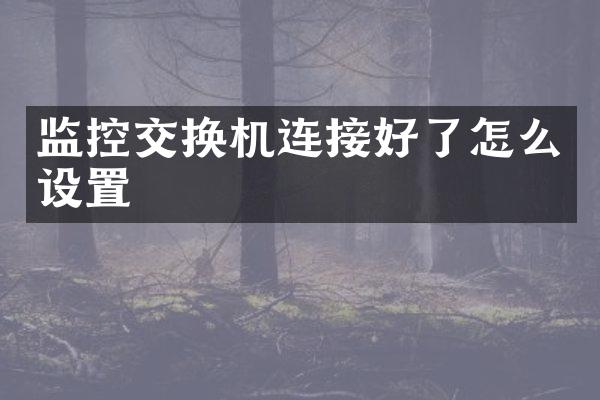 监控交换机连接好了怎么设置