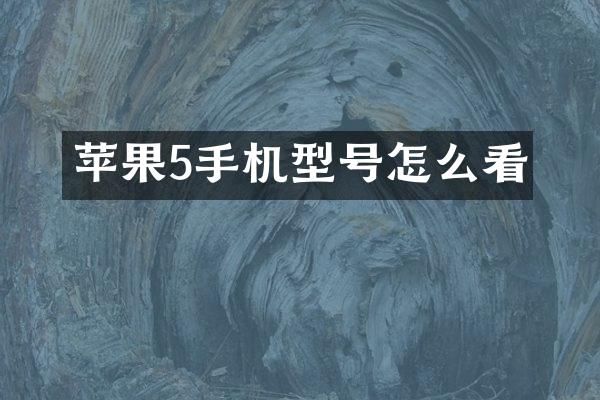 苹果5手机型号怎么看