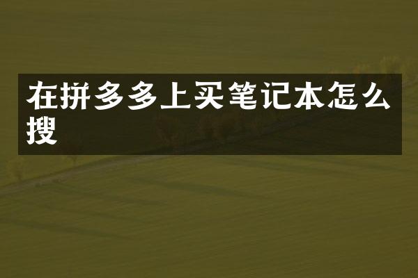 在拼多多上买笔记本怎么搜