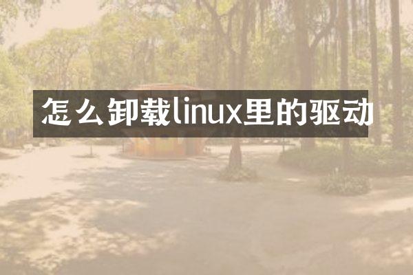 怎么卸载linux里的驱动