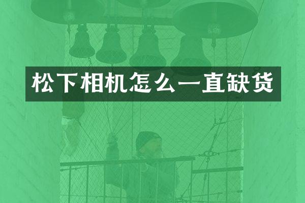 相机怎么一直缺货