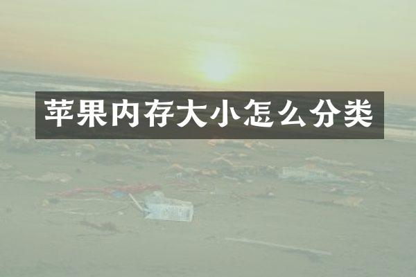 苹果内存大小怎么分类