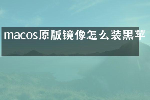 macos原版镜像怎么装黑苹果