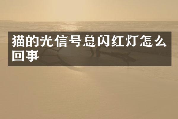 猫的光信号总闪红灯怎么回事