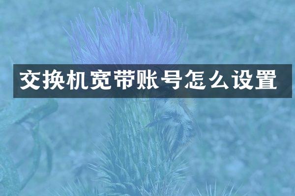 交换机宽带账号怎么设置