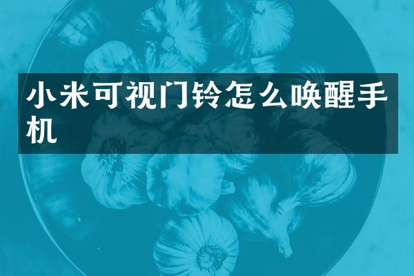 小米可视门铃怎么唤醒手机