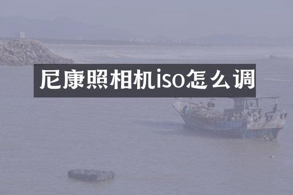 尼康照相机iso怎么调