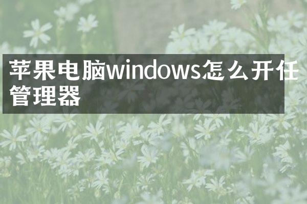 苹果电脑windows怎么开任务管理器