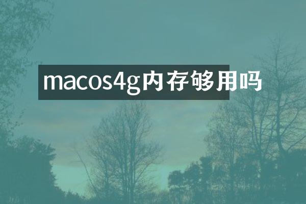 macos4g内存够用吗