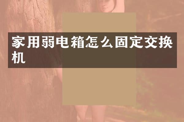家用弱电箱怎么固定交换机