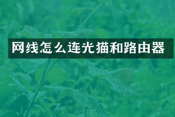 网线怎么连光猫和路由器