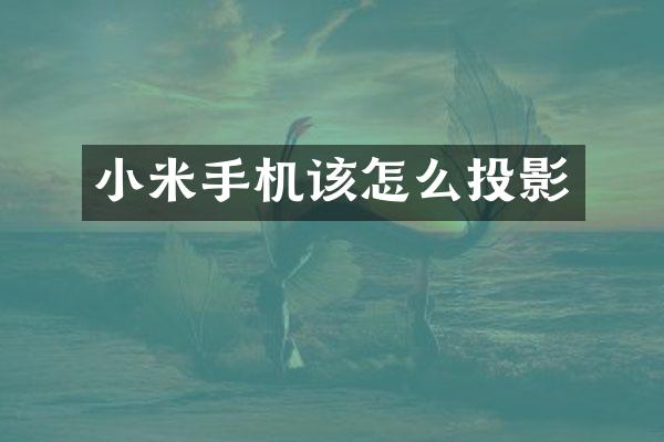 小米手机该怎么投影
