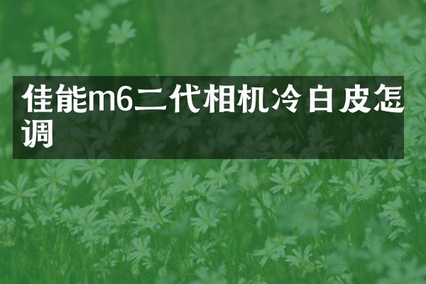 佳能m6二代相机冷白皮怎么调