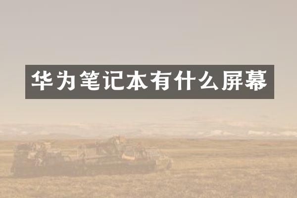 华为笔记本有什么屏幕