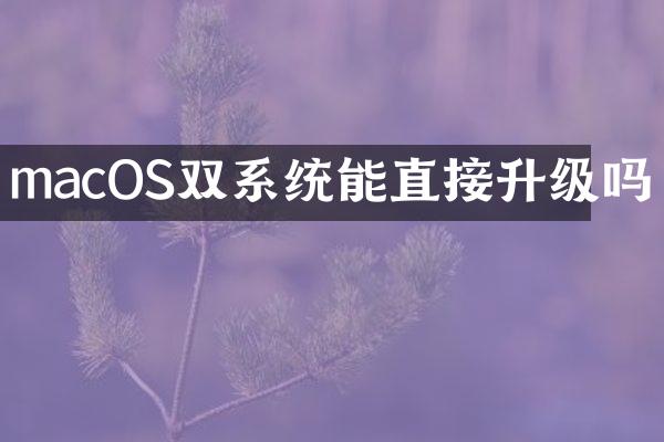 macOS双系统能直接升级吗