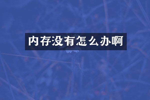 内存没有怎么办啊