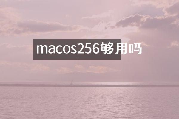 macos256够用吗