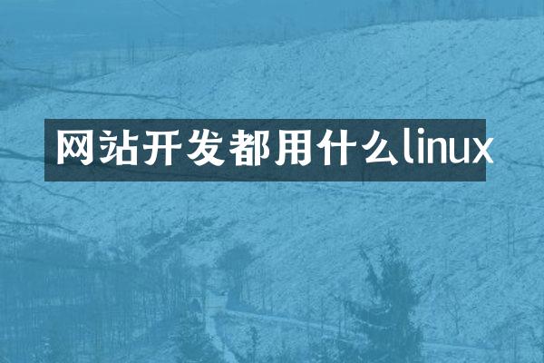 网站开发都用什么linux