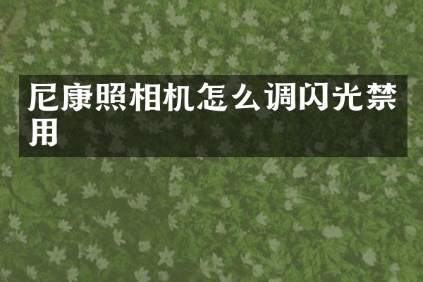 尼康照相机怎么调闪光禁用