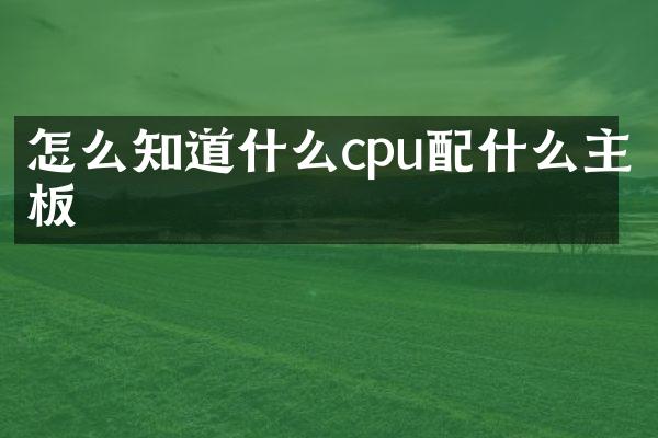 怎么知道什么cpu主板