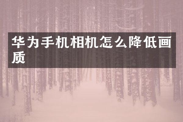 华为手机相机怎么降低画质