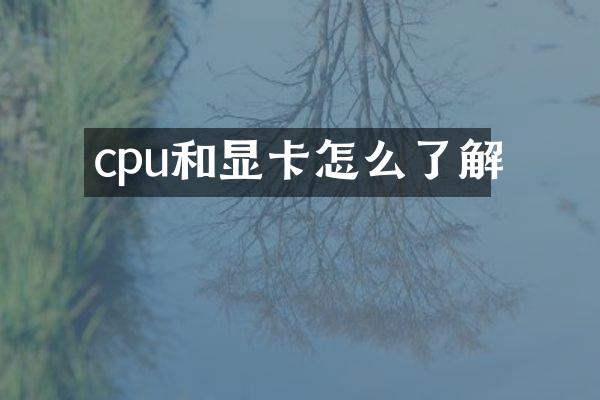 cpu和显卡怎么了解