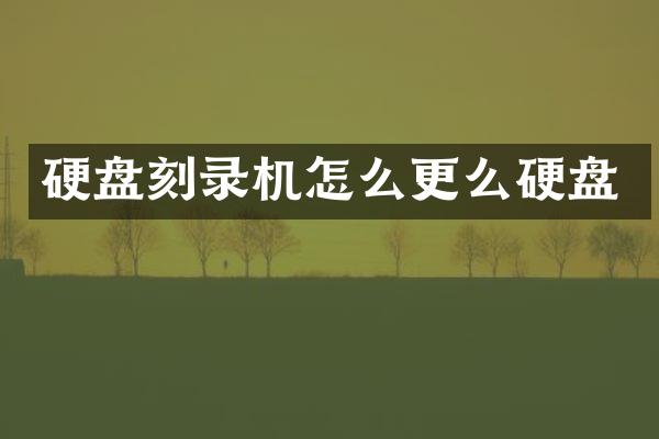 硬盘刻录机怎么更么硬盘