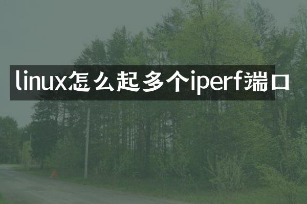 linux怎么起多个iperf端口