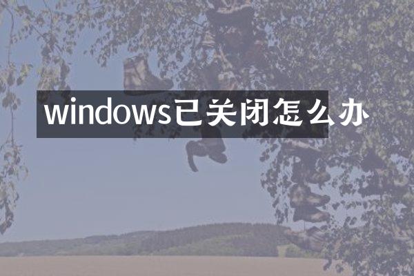windows已关闭怎么办