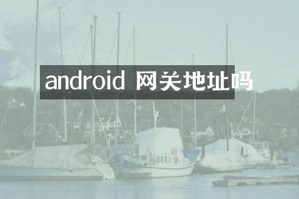 android 网关地址吗