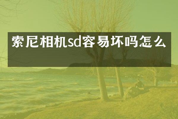 相机sd容易坏吗怎么办