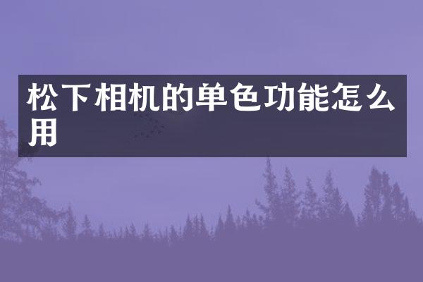 相机的单色功能怎么用