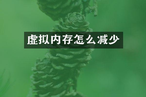 虚拟内存怎么减少