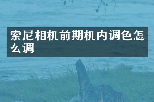 相机前期机内调色怎么调