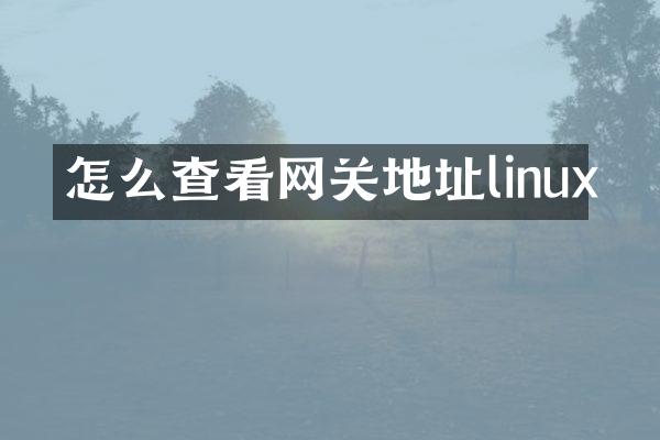 怎么查看网关地址linux