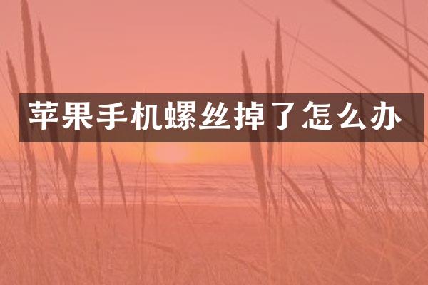 苹果手机螺丝掉了怎么办