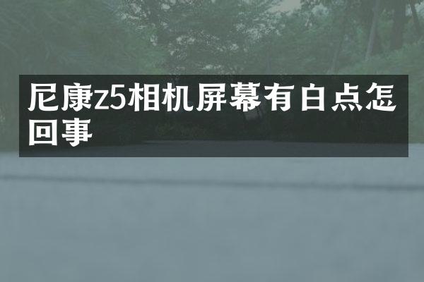 尼康z5相机屏幕有白点怎么回事