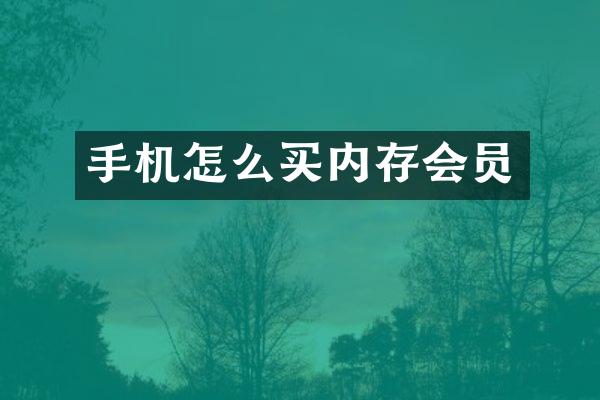 手机怎么买内存会员