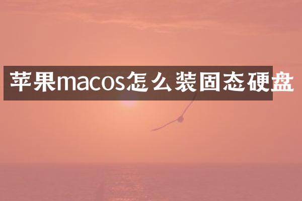 苹果macos怎么装固态硬盘