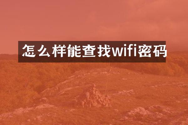 怎么样能查找wifi密码